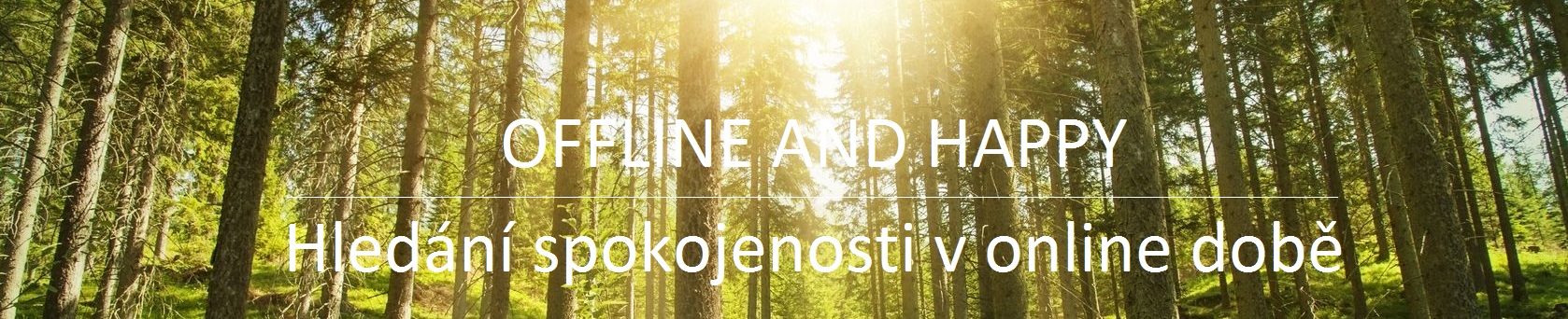 21643401 – sunlight in the green forest Offline and happy